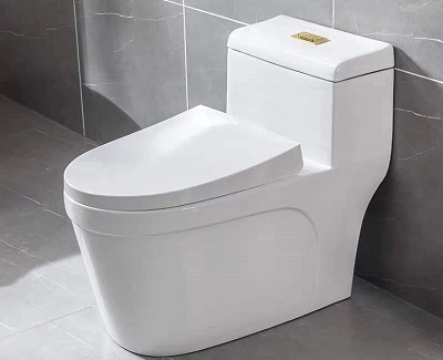 Bồn cầu 1 khối Kazonax R038